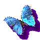 butrflybl.gif (7402 bytes)