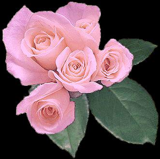 rose56.jpg (20325 bytes)