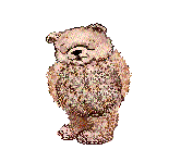 vbears2.gif (86419 bytes)